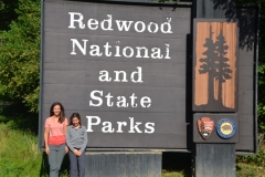 Arrived at the Redwoodsed