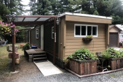 Our trailer in the redwoods