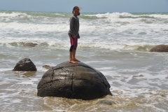 Moeraki Boulders Beach