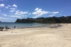 Palm Beach Waiheke Island