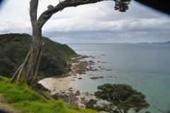 Mangawhai Heads walk