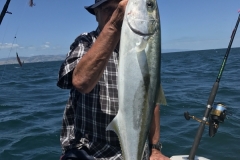 Kingfish