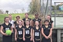 Lara's Netball Team