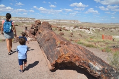 DSC_5918