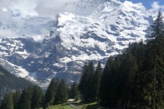 UNADJUSTEDNONRAW_thumb_301b