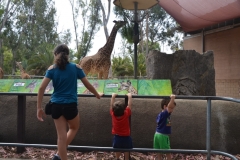 Fun Times, San Diego Zoo